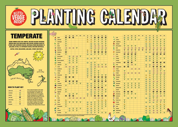 Temperate Climate Planting Calendar