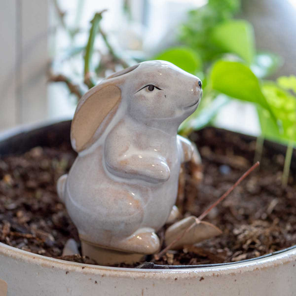 Rabbit Self Watering Plant Spike