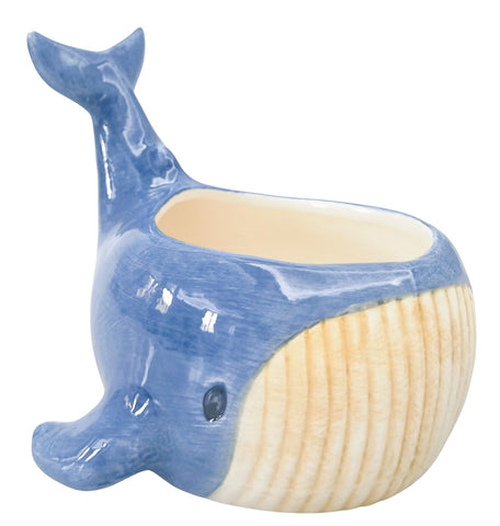 Reef Whale Pot