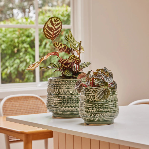 Sage Henna Pot