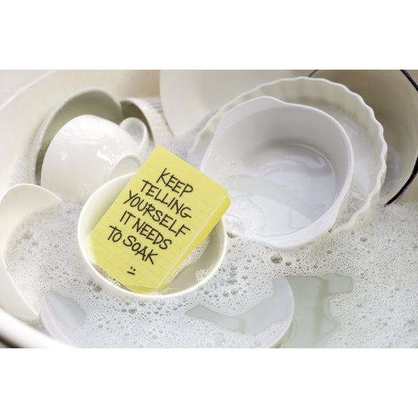 Clean Conscience Sponges Set of 2