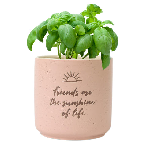 Sunshine Positive Pot