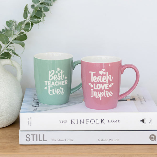 Teach Love Inspire Mug