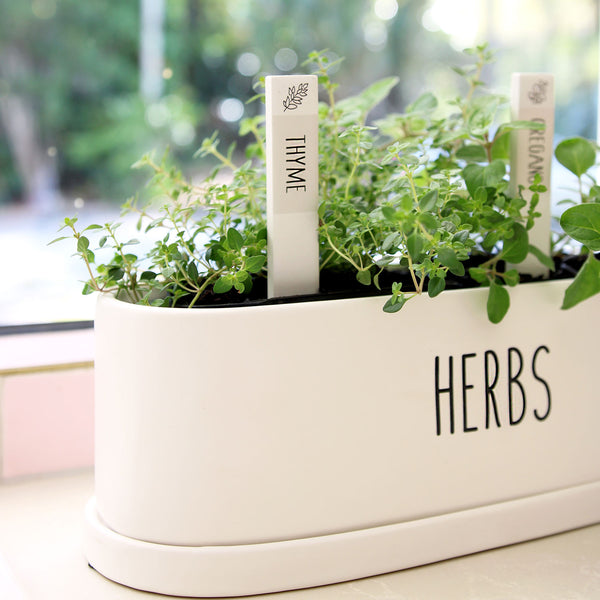 Thyme Herb Label