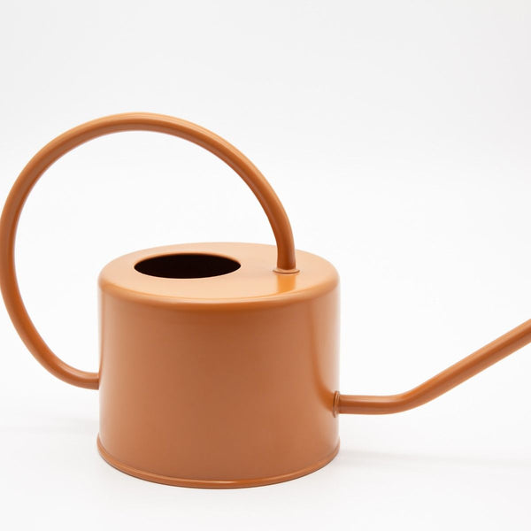 Cinnamon Watering Can