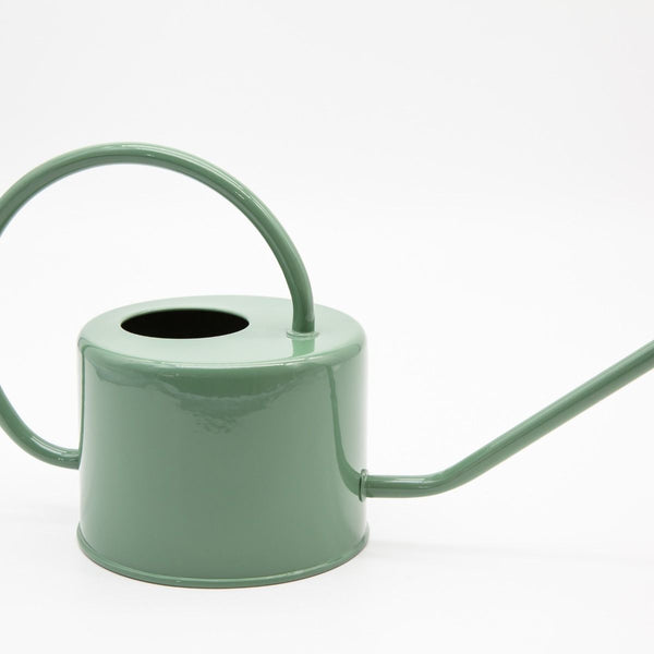 Eucalyptus Watering Can