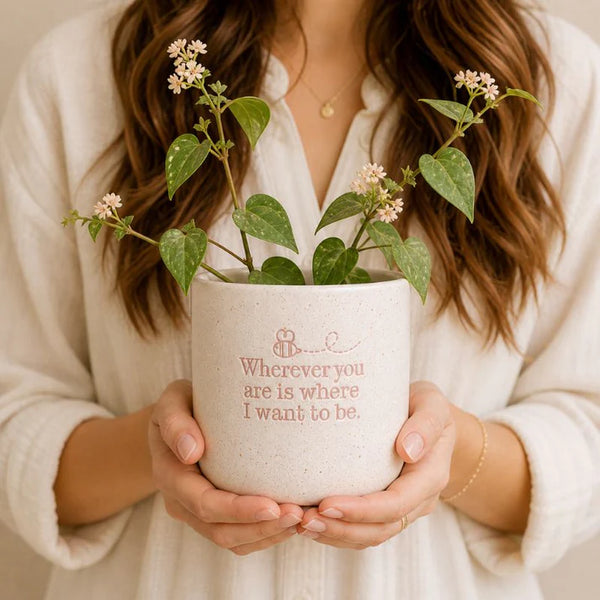 Wherever Positive Pot