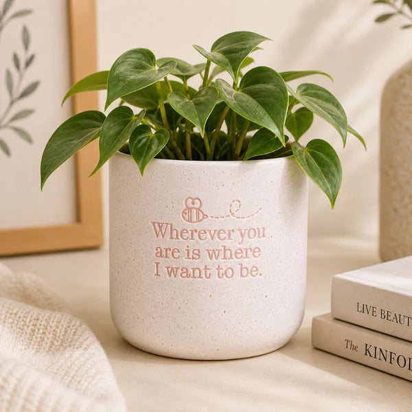 Wherever Positive Pot
