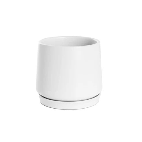 Loreto Pot