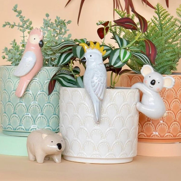 Cockatoo Pot Hanger