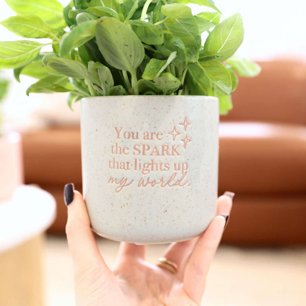 World Positive Pot