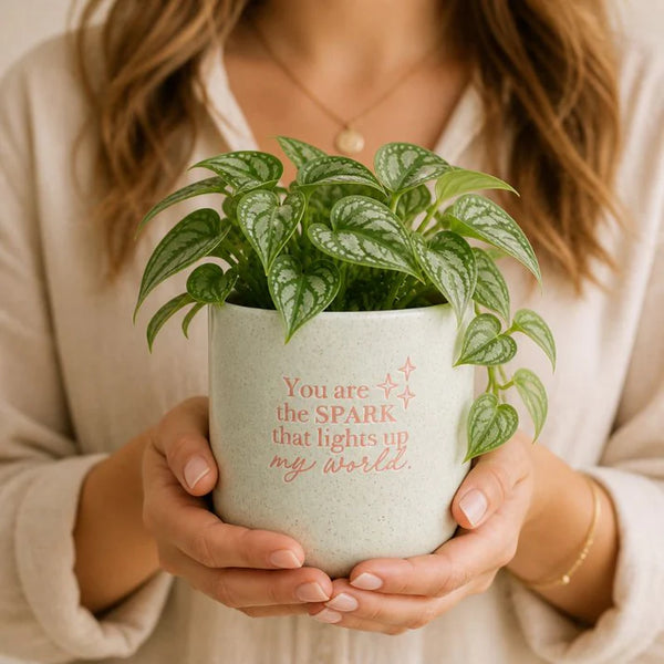 World Positive Pot