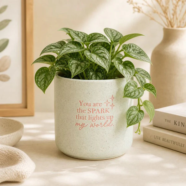 World Positive Pot