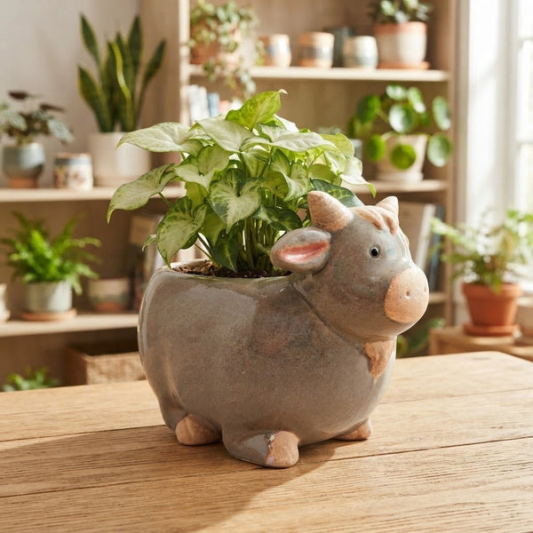 Billy Goat Pot