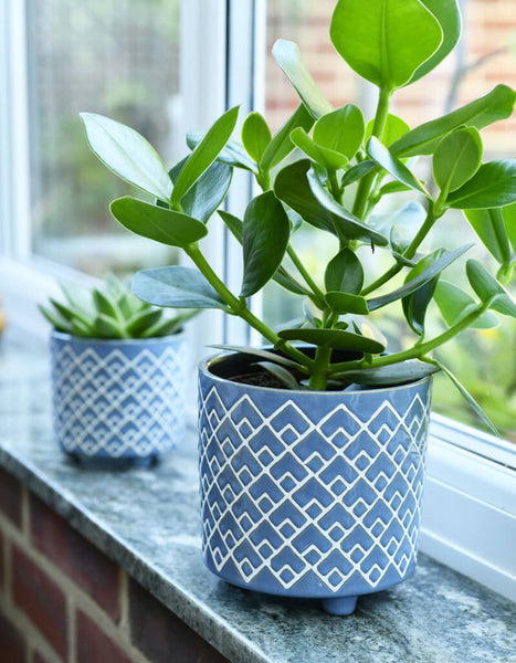 Burgon & Ball Large Bilbao Pot