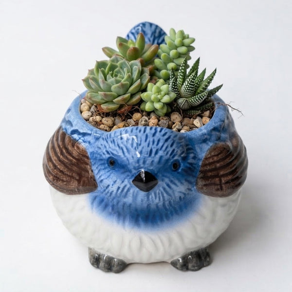 Blue Wren Pot