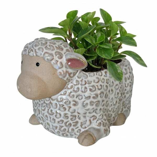 Sheep Pot