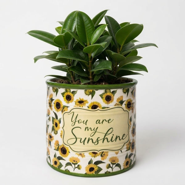 My Sunshine Sunflower Pot