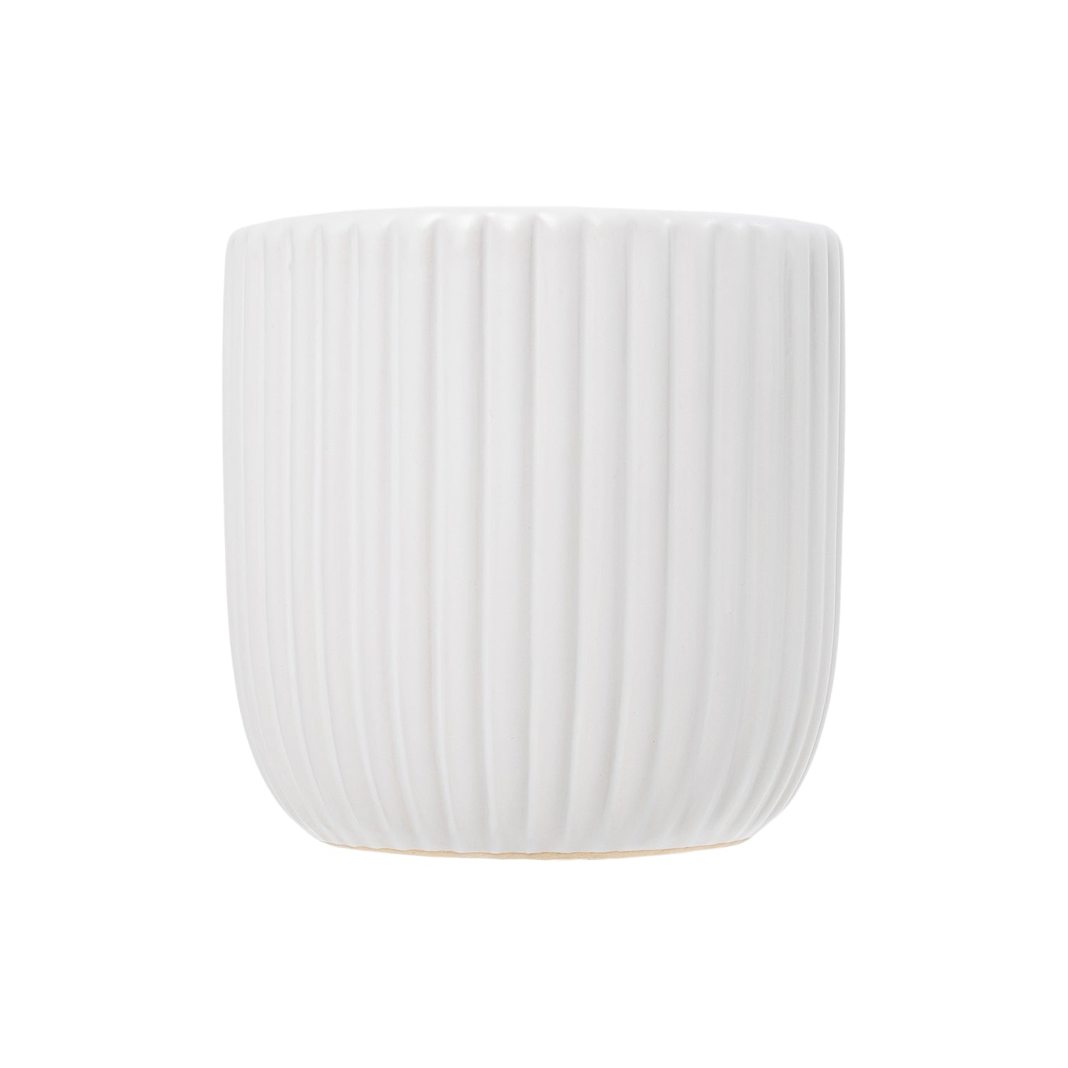 Exotic Pot | Small