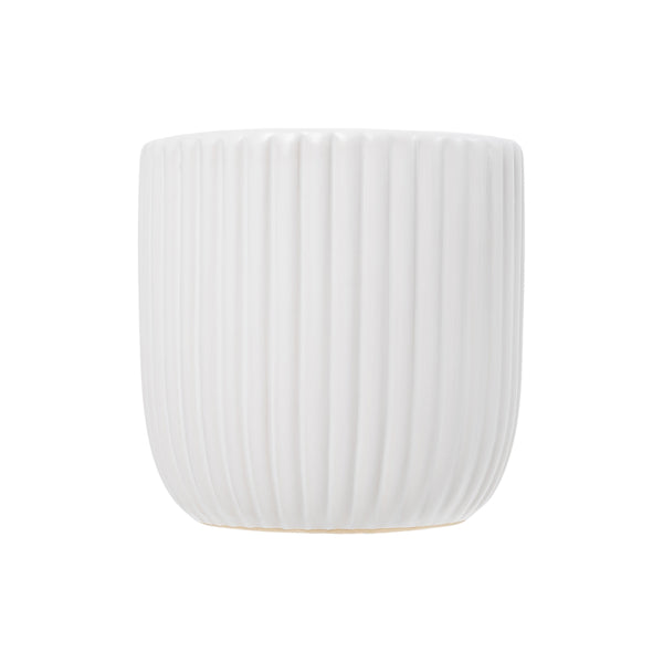 Exotic Pot | Small