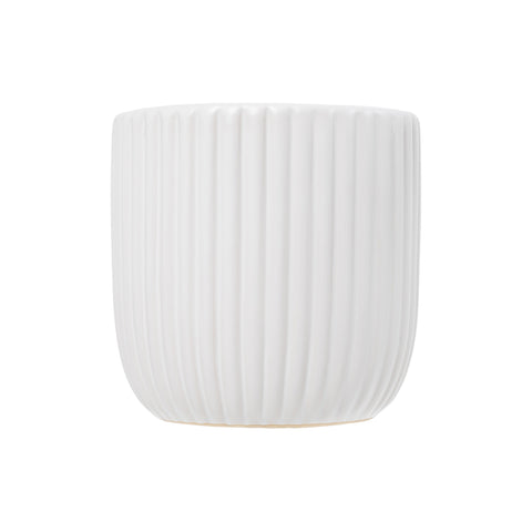 Exotic Pot | Small