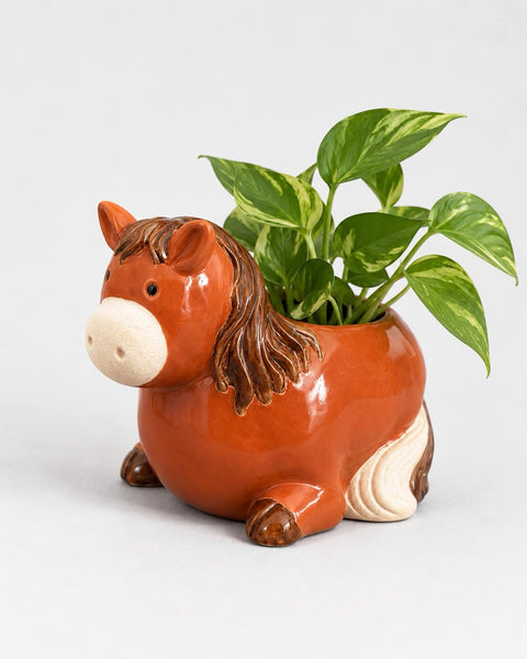 Horse Pot
