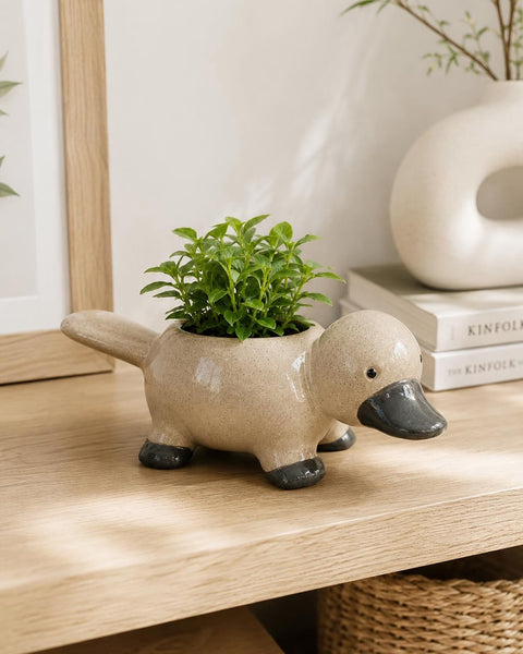 Platypus Pot