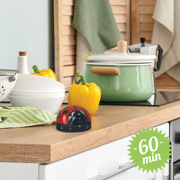 Lady Bug Kitchen Timer