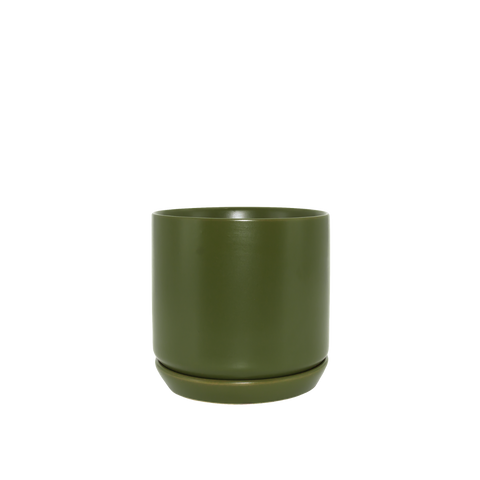 Avocado Oslo Pot