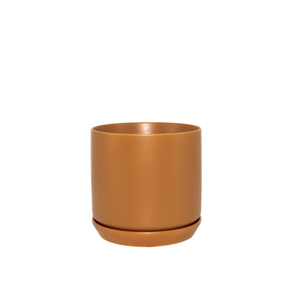 Cinnamon Oslo Pot