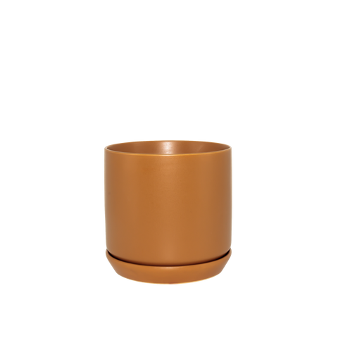 Cinnamon Oslo Pot