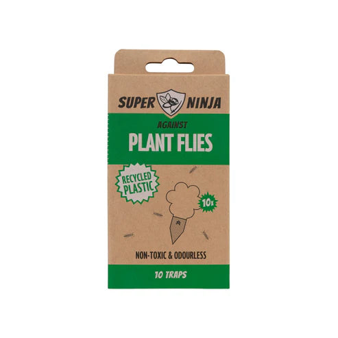 Fungal Gnat Sticky Traps | 10 Pack