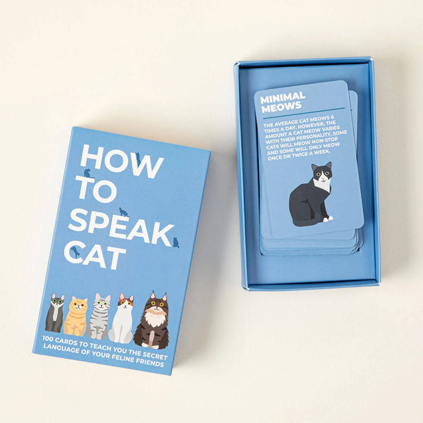 How To Speak Cat