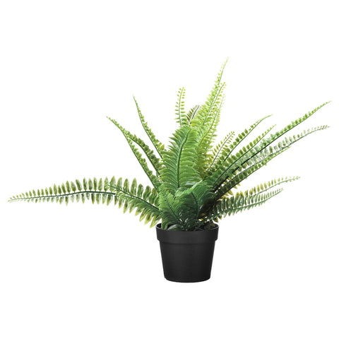 Artificial Fern Plant