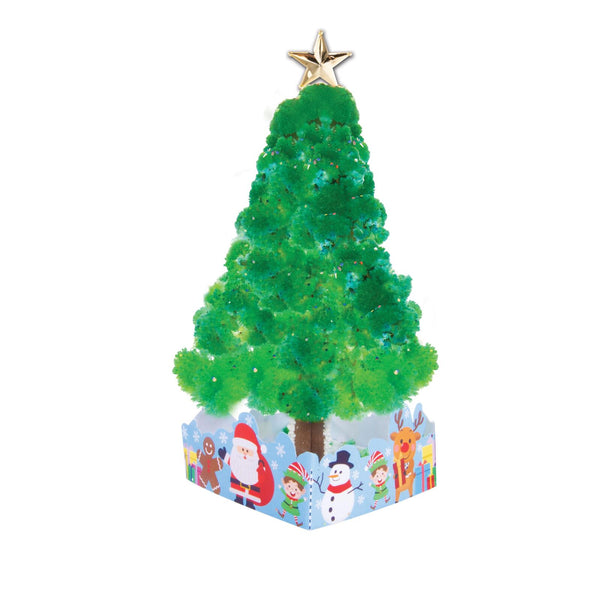 Magic Growing Christmas Tree Kit | Green