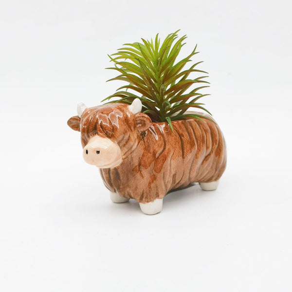 Highland Cow Pot | Small