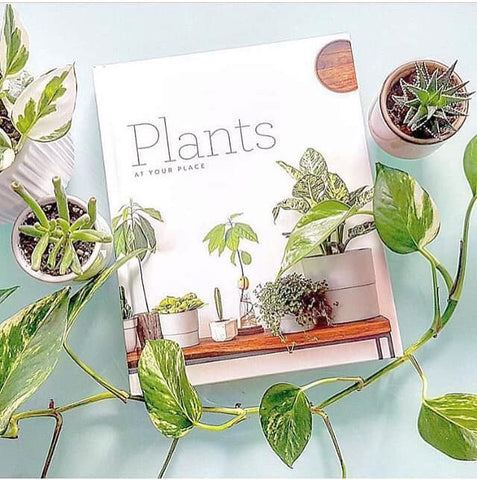 Plants At Your Place [Hardcover]