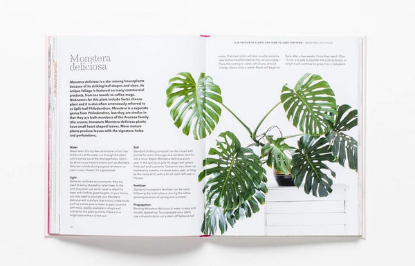 How To Raise A Plant And Make It Love You Back Book