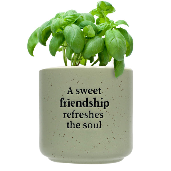 Positive Pot | Friendship