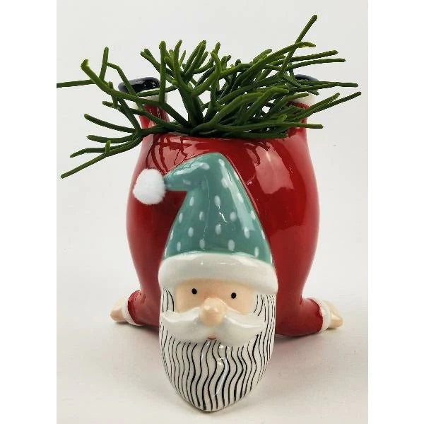 Quirky Santa Pot | Blue