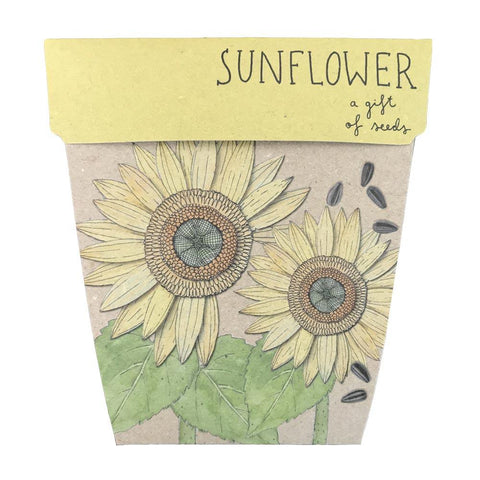 Sunflower Gift of Seeds Card | Sow N Sow