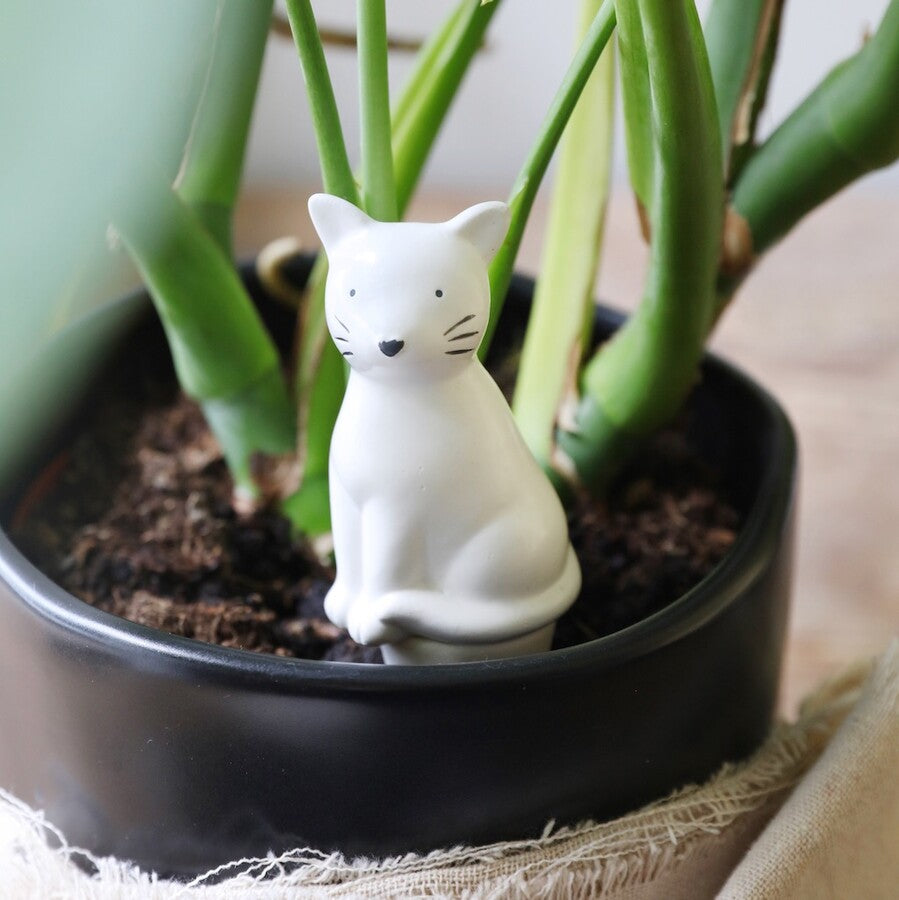 Self Watering Spike | Cat