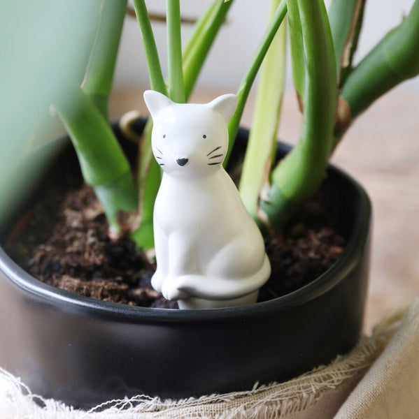 Self Watering Spike | Cat