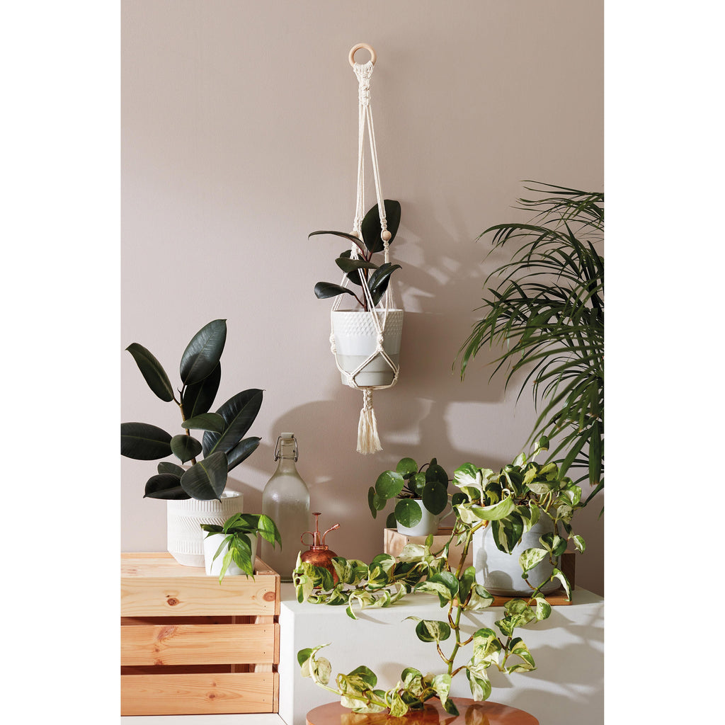 macrame plant hanger diy kit DIY Macramé Plant Hanger Kit – Kat's Living Gifts