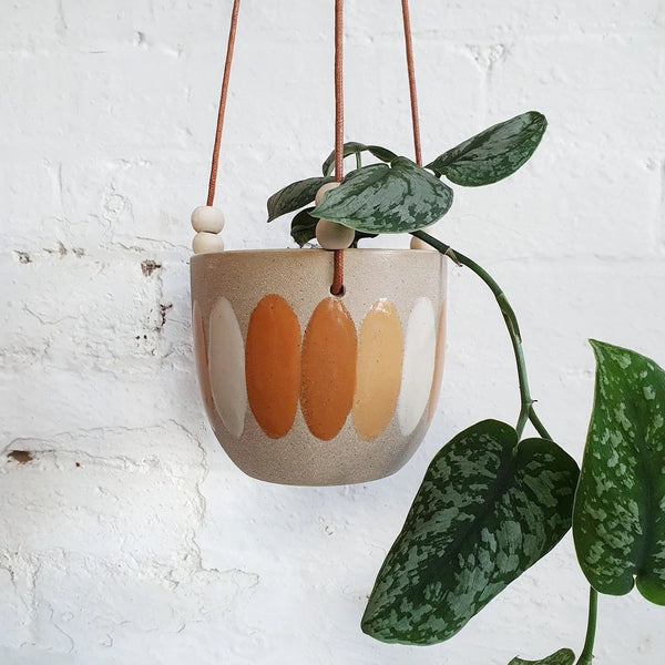 Citrus Hanging Pot