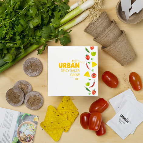 Urban Greens | Salsa Grow Kit