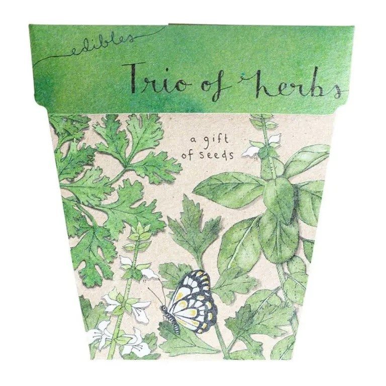 Sow N Sow | Trio of Herbs Seeds Card