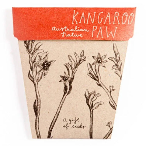 Kangaroo Paw Gift of Seeds Card | Sow N Sow