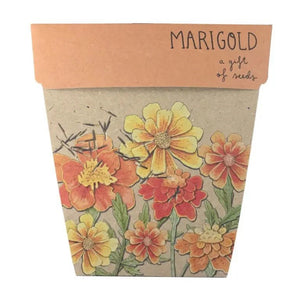 Marigolds Seeds | Sow N Sow Card