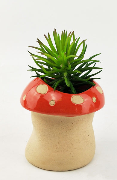 Mushroom Pot